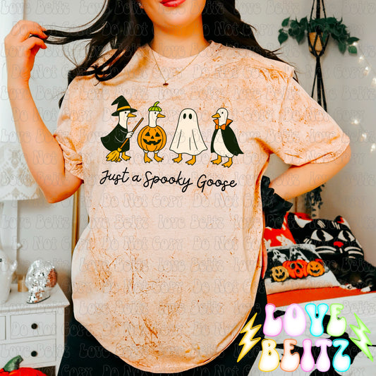 Spooky Goose
