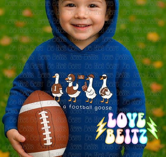 Just A Football Goose Littles