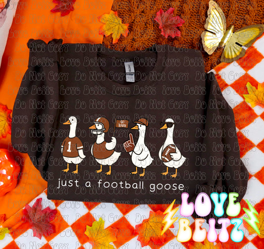 Just a Football Goose